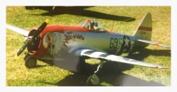 Ali's P47 circa 1994 in a scale, but previously unmodelled colour scheme